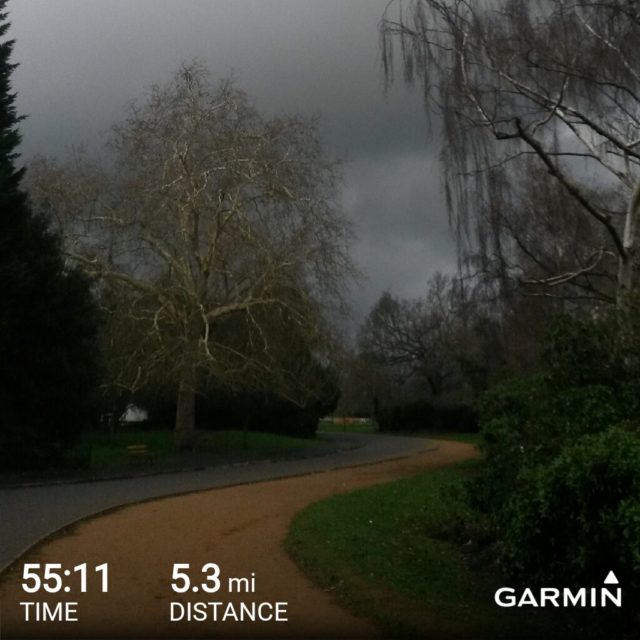 Dark clouds as seen in the local park