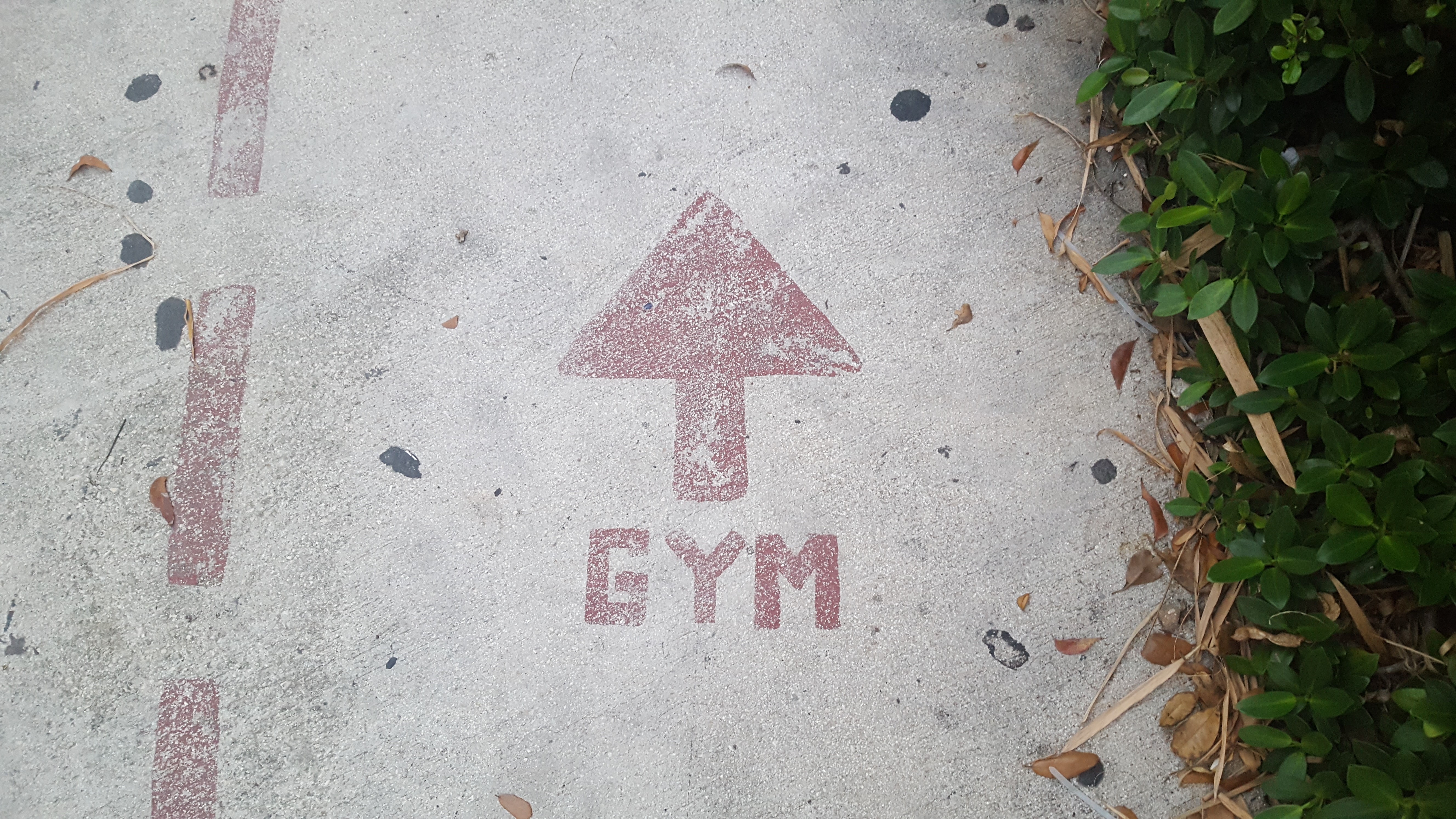 Sign on footpath pointing to the gym