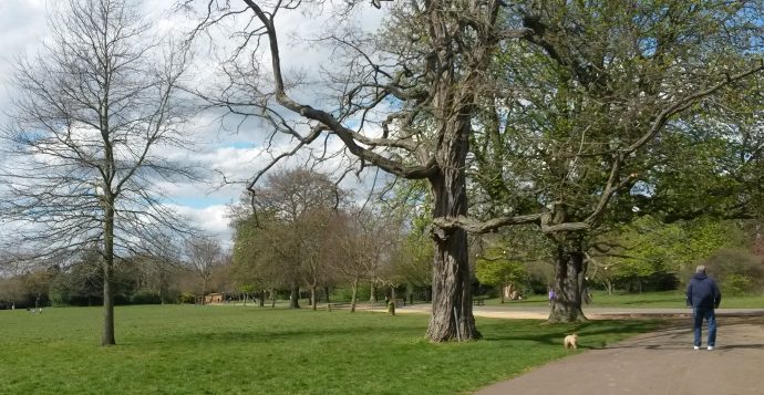 An empty Dulwich Park