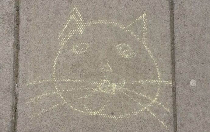 Drawing in chalk of cat's face