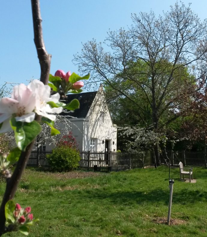 Inside Dulwich Orchard