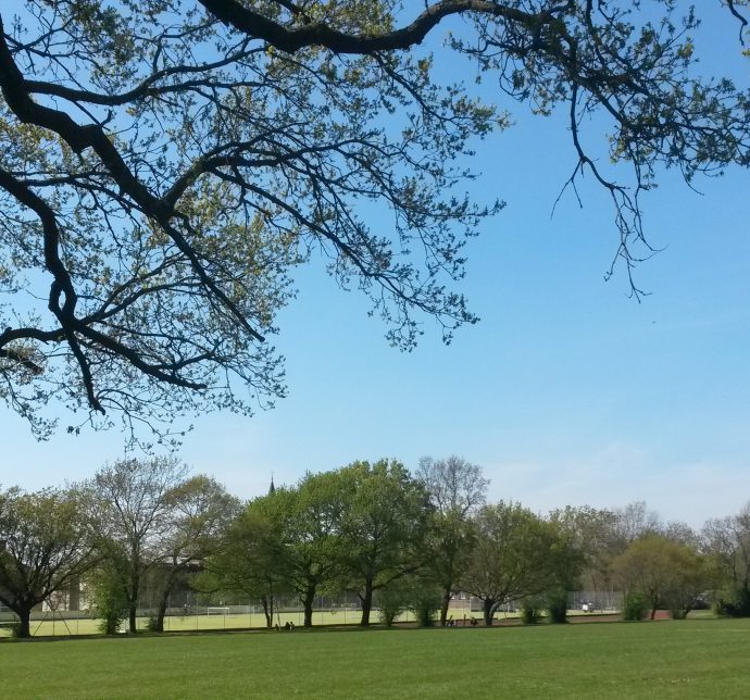 Dulwich College playing fields