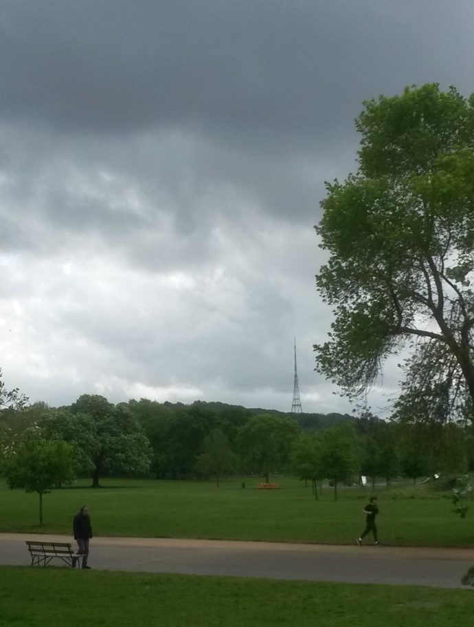 Dulwich Park with heavy clouds