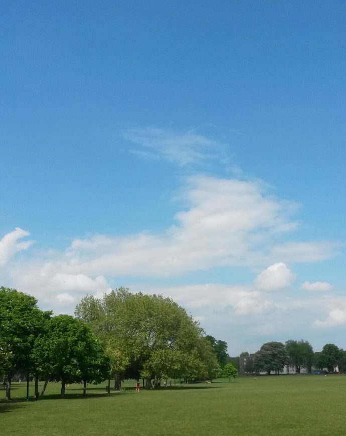 View from Peckham Rye